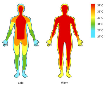 De ce corpul omului sănătos are totdeauna o temperatură constantă