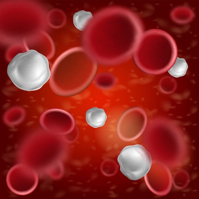 Componentele sângelui, rol, globule roşii, hematiile, globule albe, leucocite, trombocite, plasma